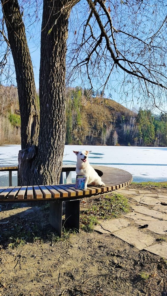 Photograph by Анастасия Горбачева