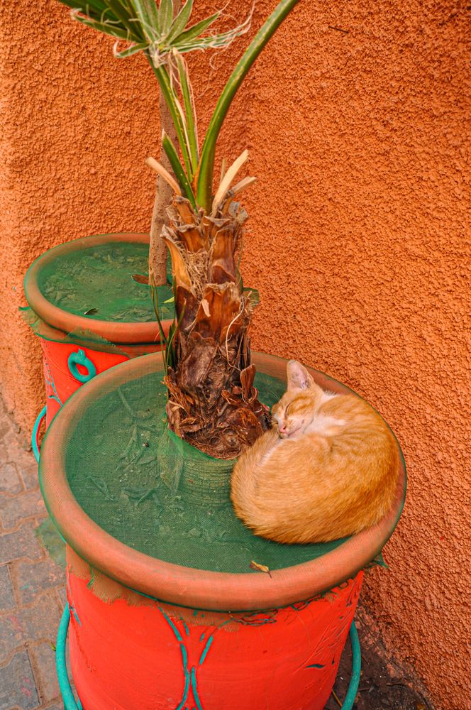 Фотография автора Ковяк Сергей Васильевич