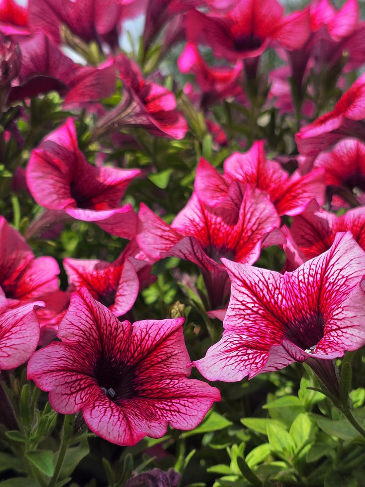 Photograph by Елена Гордеева