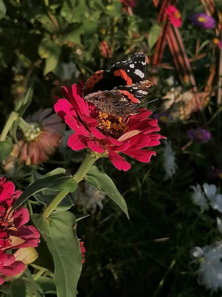 Photograph by Елена Сабирова
