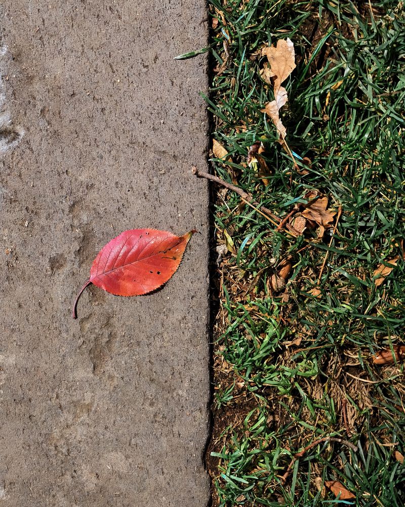 Photograph by Mostafa Moradi