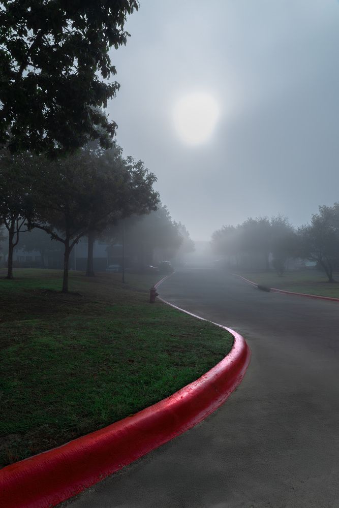 Photograph by Denis Borovskikh