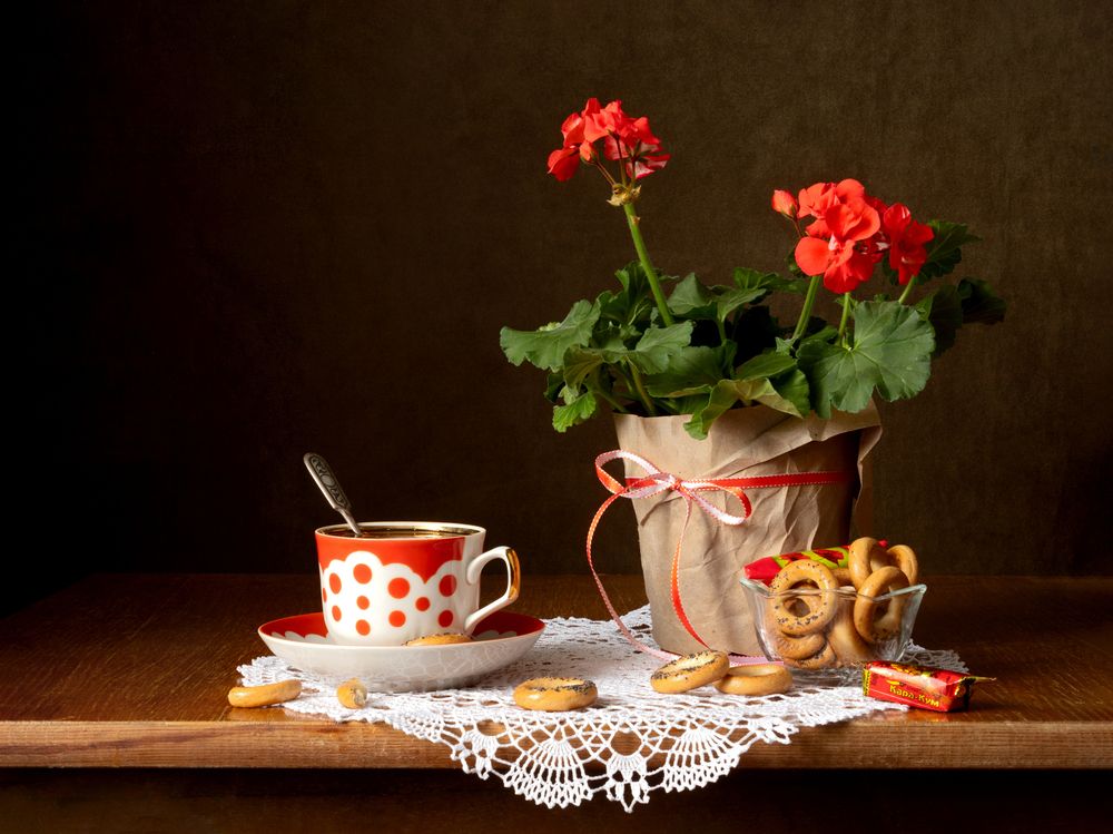 Photograph by Елена Коврижных