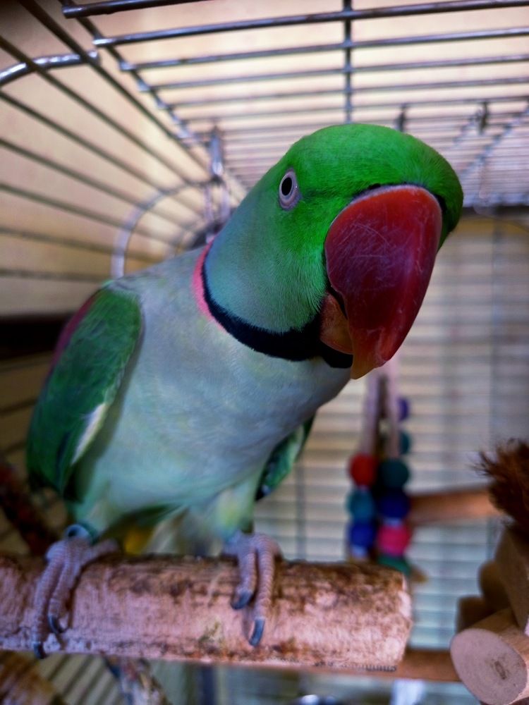 Фотография автора Jindřiška Kučerová