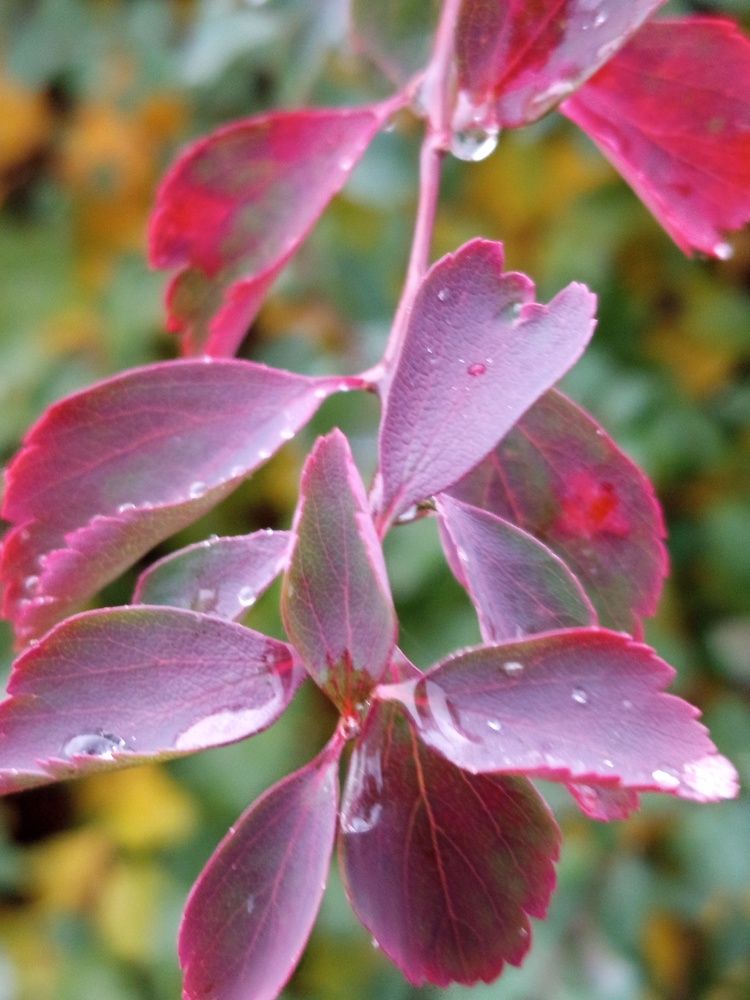 Фотография автора Jindřiška Kučerová