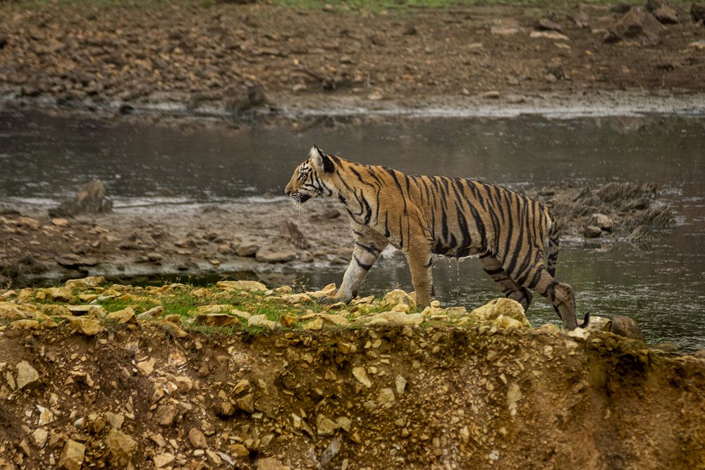 Photograph by Rajeswari Bhattacharyya