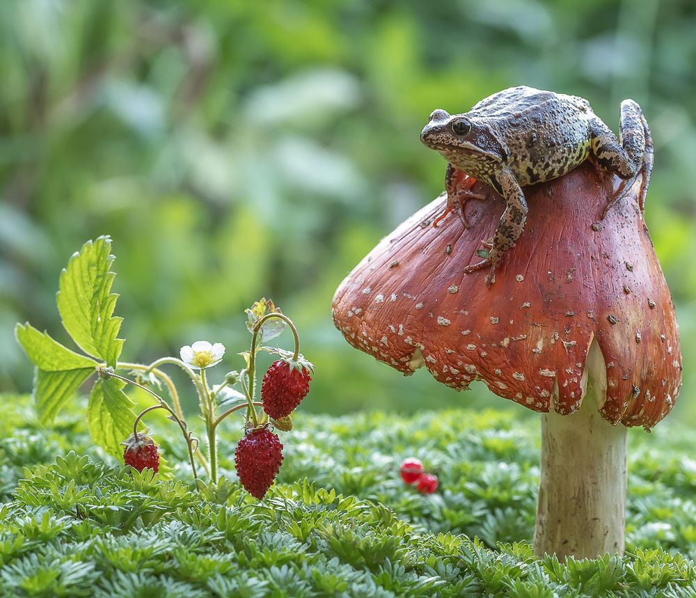 Photograph by Татьяна Феденкова