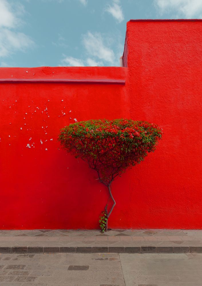 Photograph by Denis Borovskikh