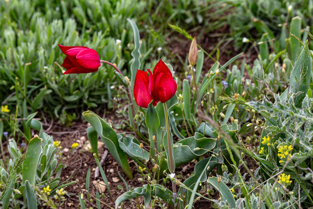 Photograph by Анатолий Мигов