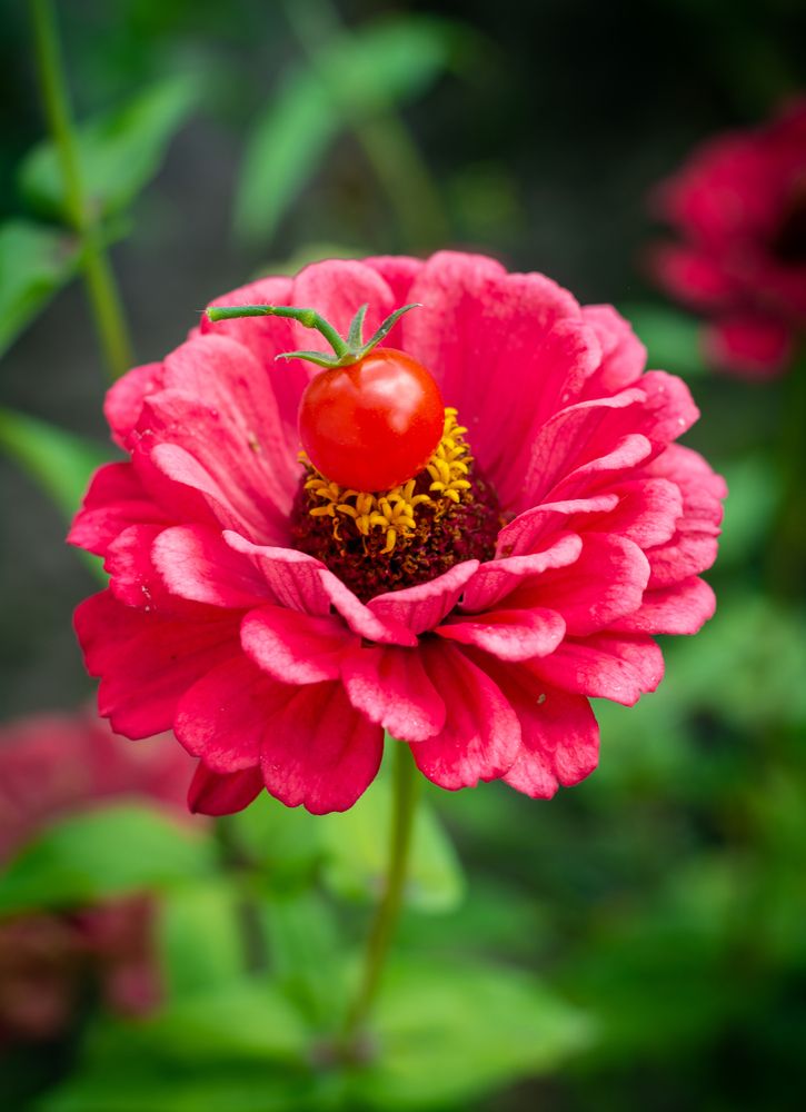 Photograph by Максим Жухлистов