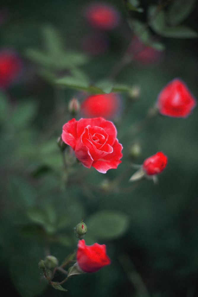 Photograph by Вика Фолина