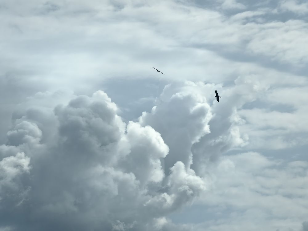 Photograph by Алевтина Андреева