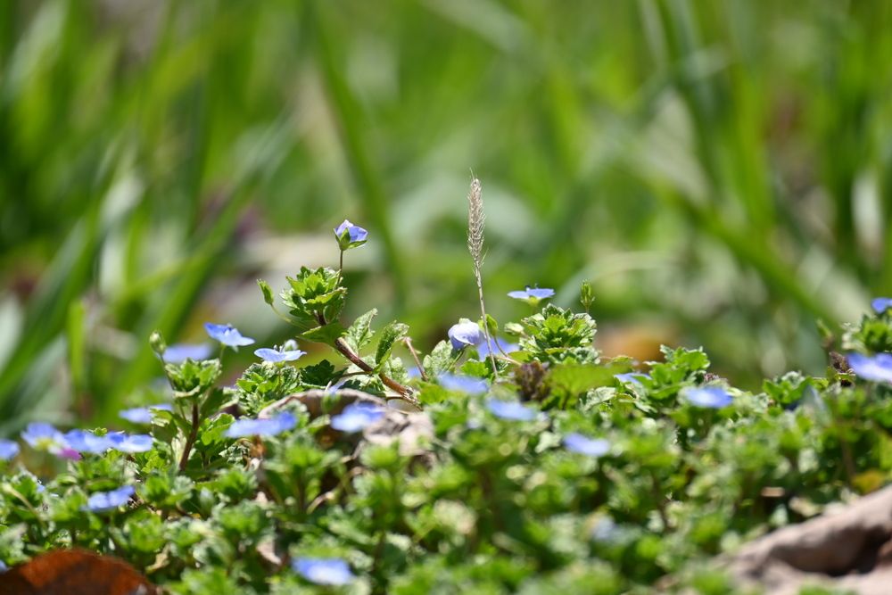 Photograph by Ljiljana Nedeljković