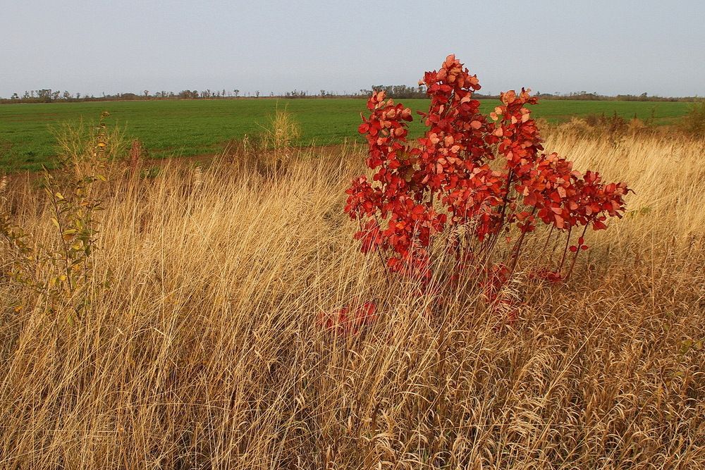 Фотография автора Александр Челмодеев