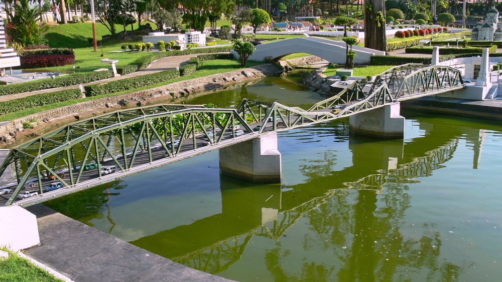 Фотография автора Анатолий Дауров