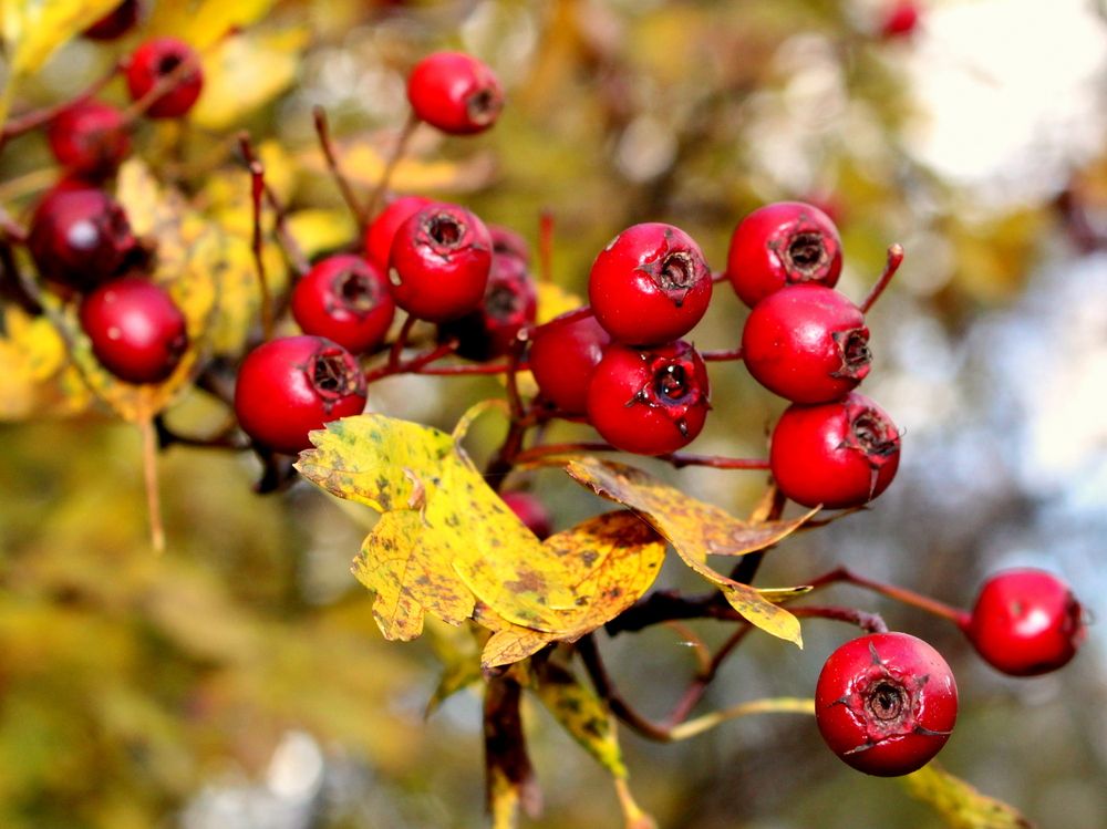 Фотография автора Алексей Макаров
