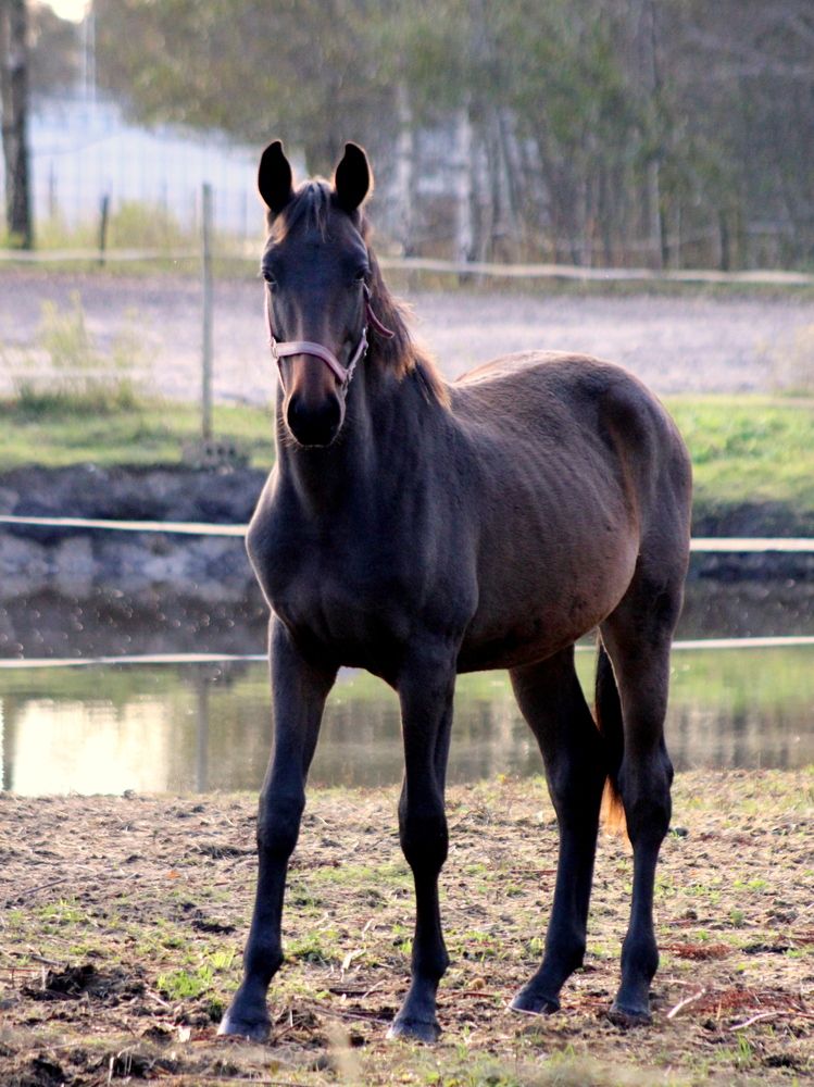 Photograph by Алексей Макаров