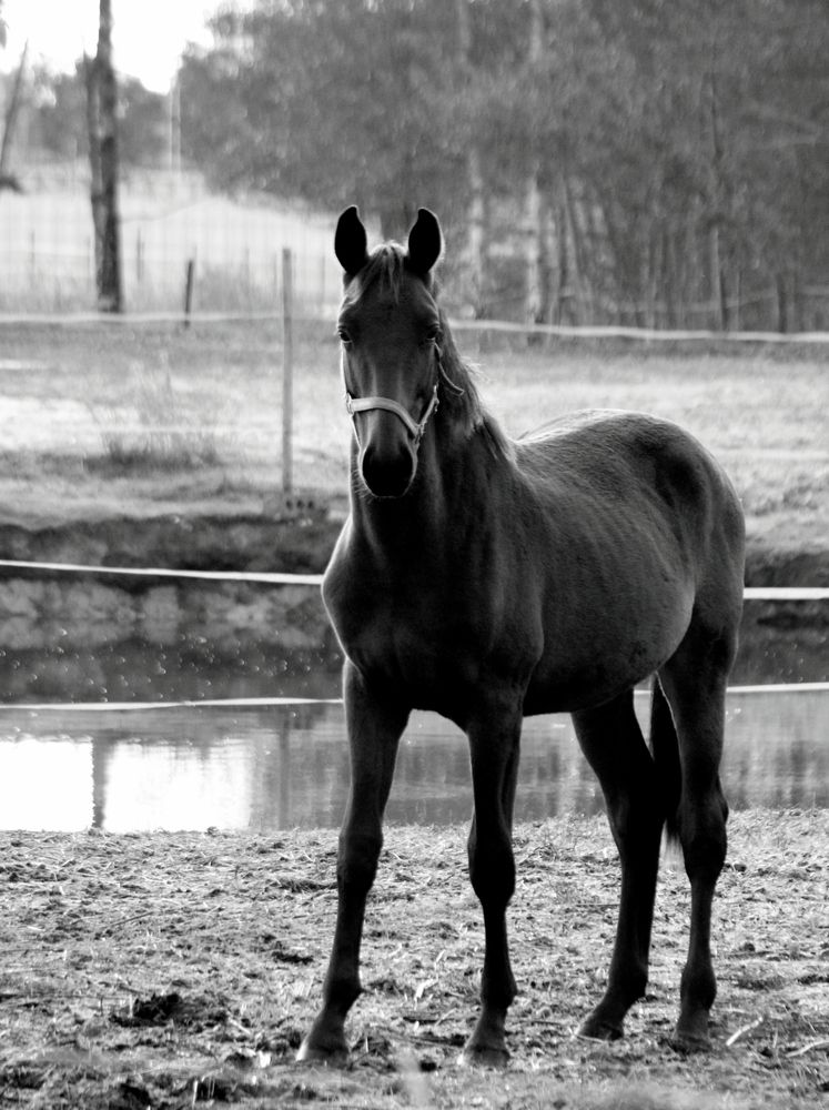 Photograph by Алексей Макаров