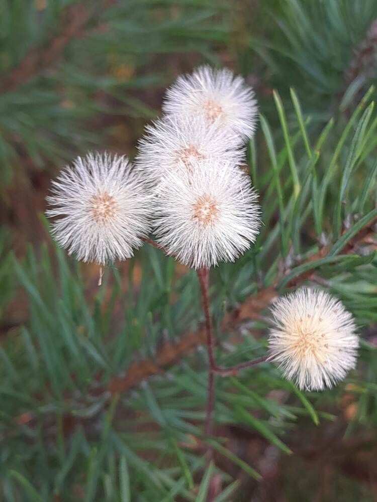 Photograph by Виталий Глазачев