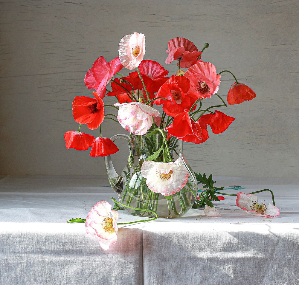 Цветы, как бабочки