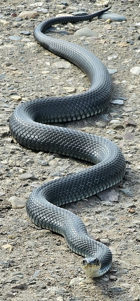 Photograph by Михаил Свиденцов