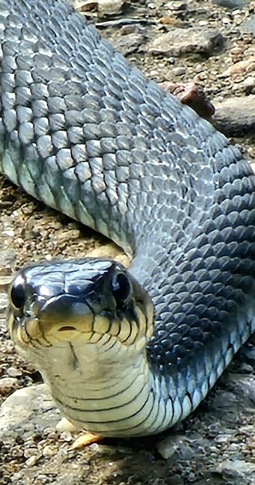 Photograph by Михаил Свиденцов