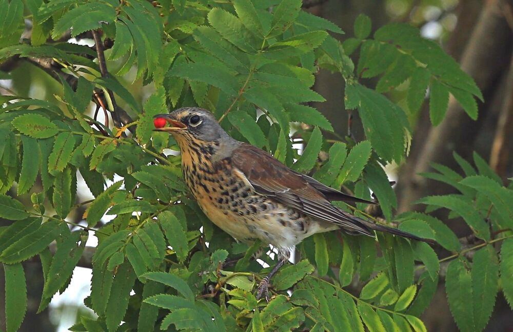 Фотография автора Юрий Кетель