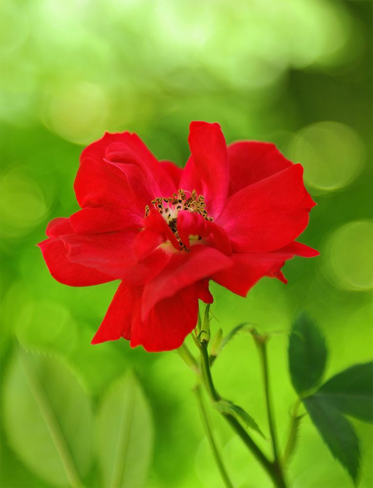 Photograph by Олег Фокин