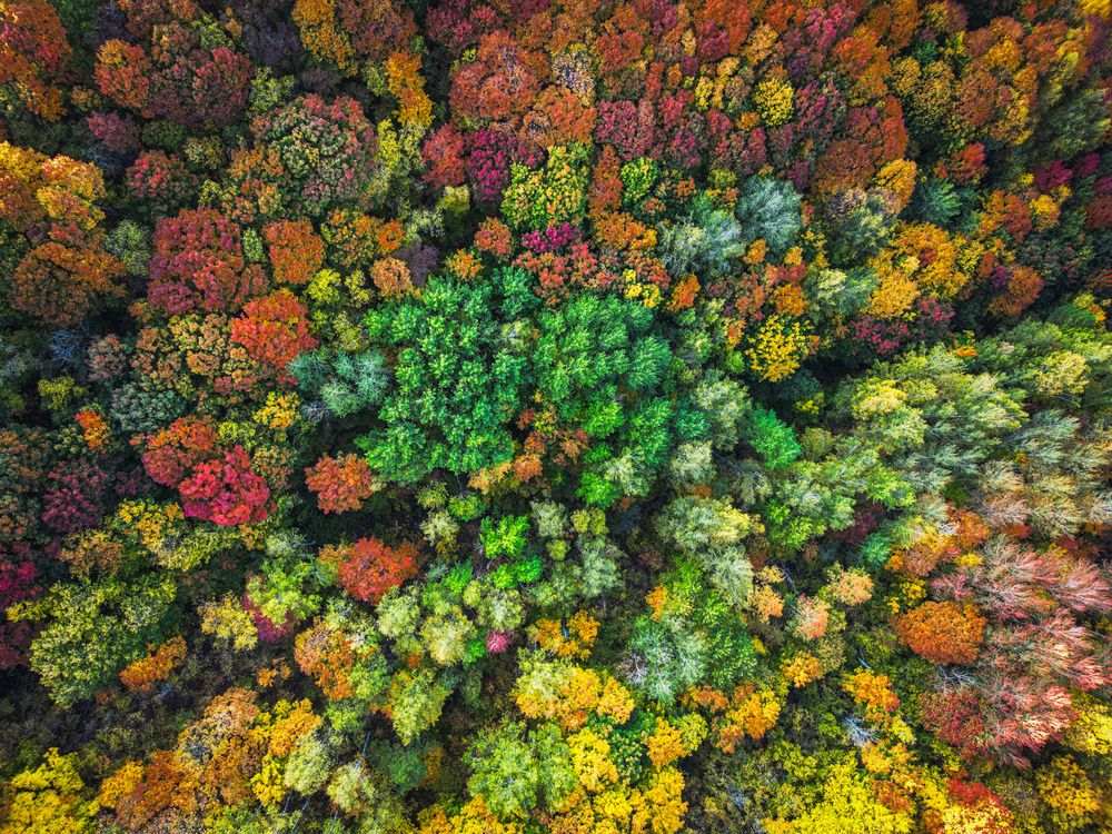 Photograph by Konstantin Martynov