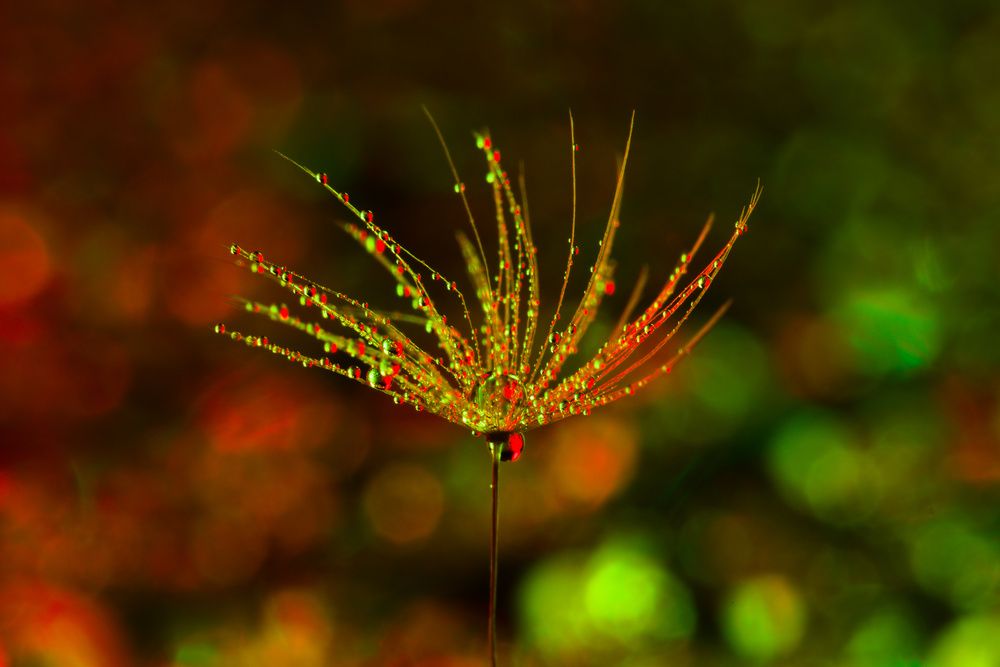 Photograph by John Doe