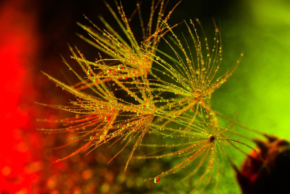 Photograph by John Doe