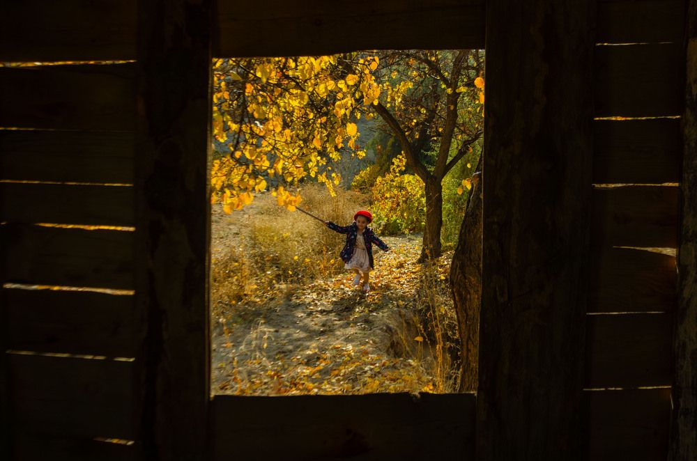 “Before the Leaves Rest”