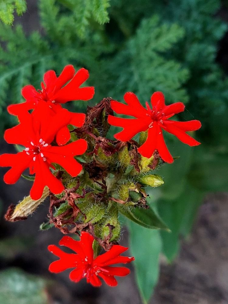 Photograph by Ирина