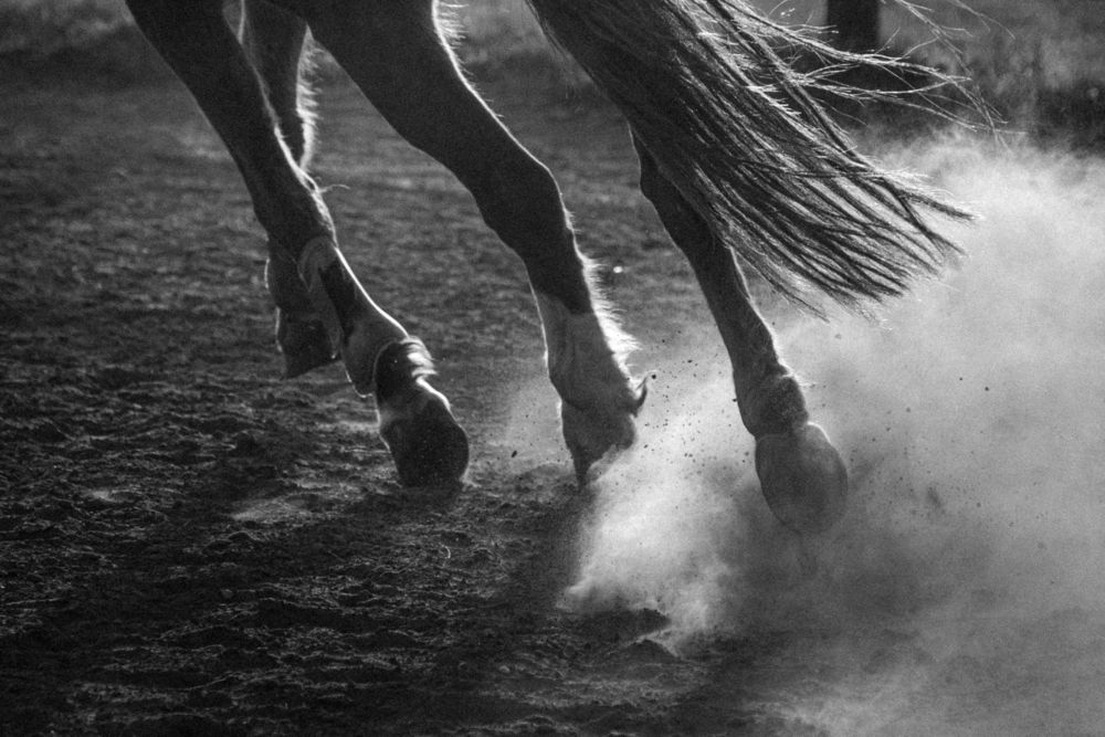 Photograph by Veronika Biró