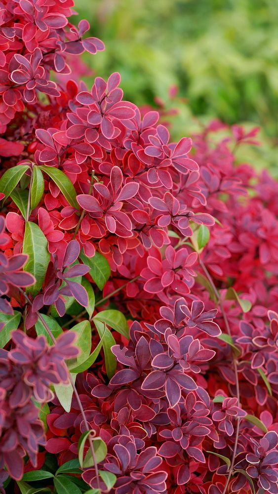 Photograph by Владимир Лобанов