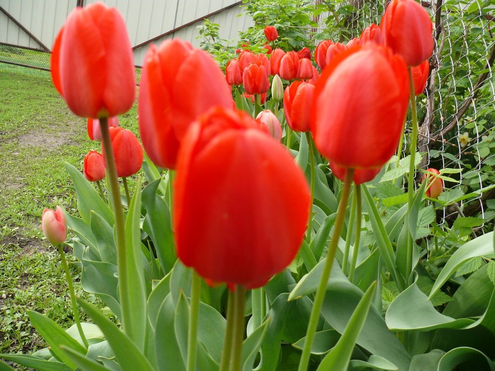 Фотография автора Анатолий Борисов