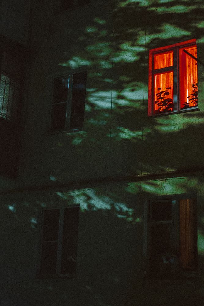 Photograph by Снежанна