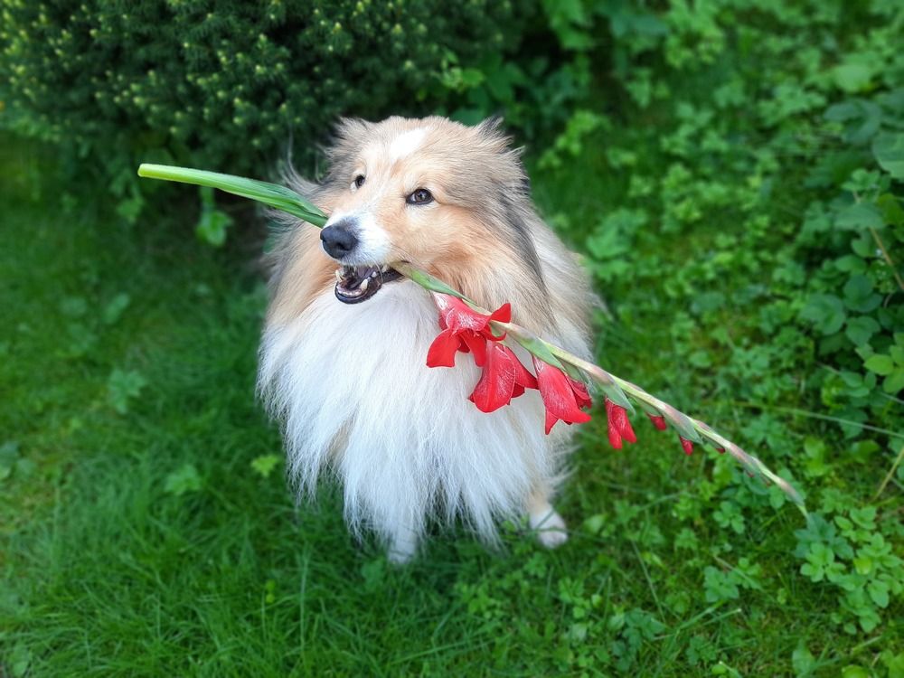 Photograph by Валерия Яскович