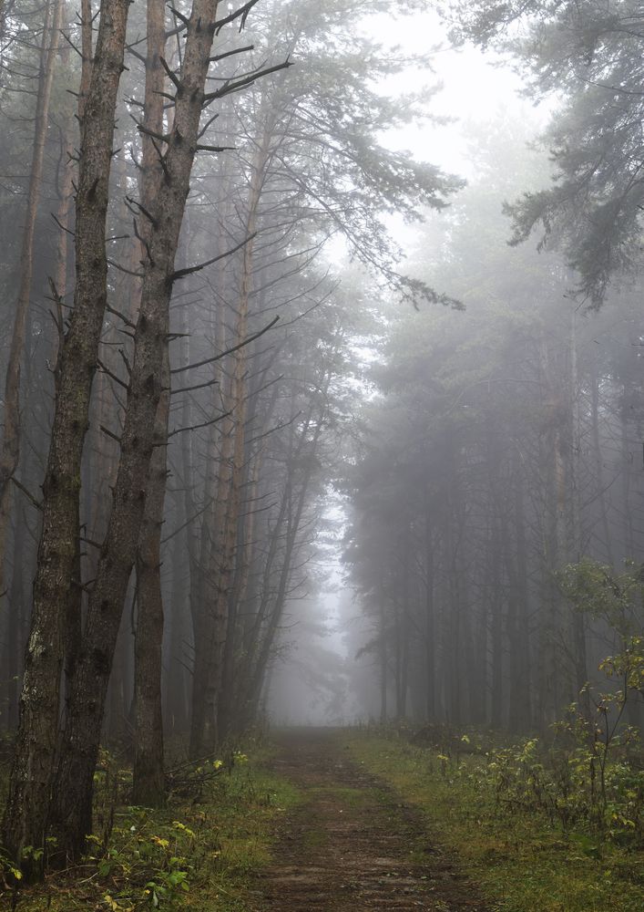 Photograph by Анна Бокова