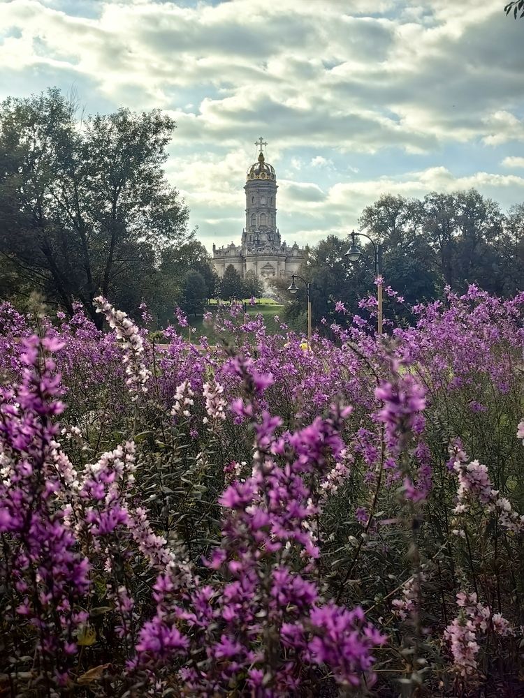 Ароматный шелест лета