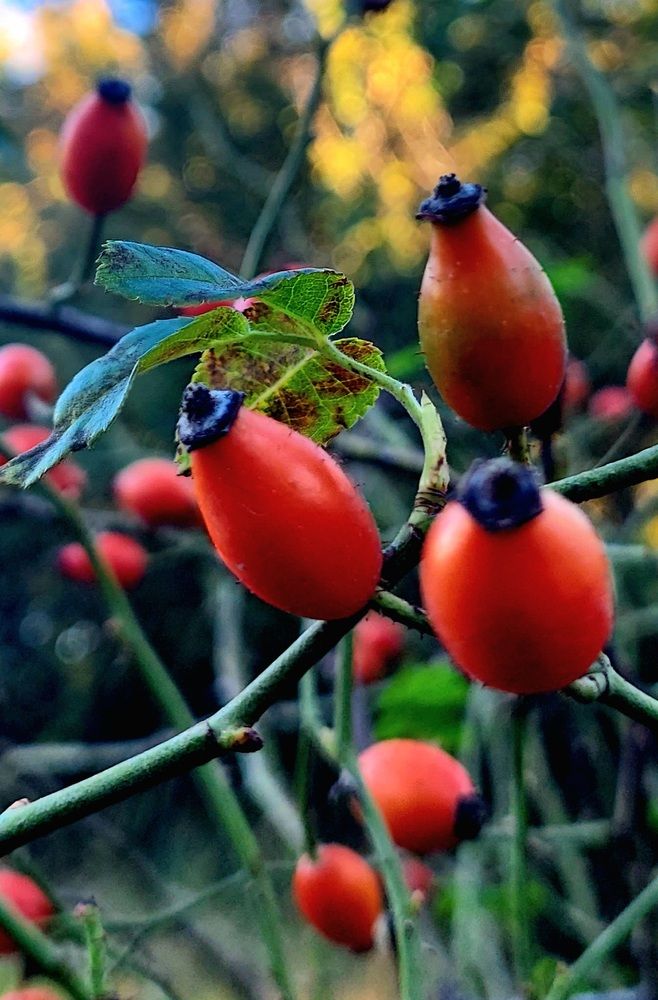 Photograph by Марина Жарикова
