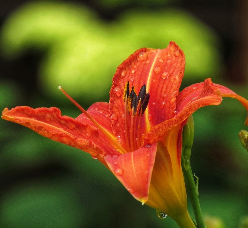 Photograph by Tatyana Markova