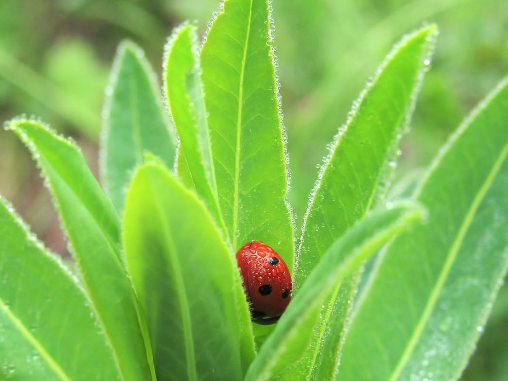 Photograph by Виктор Карпухин