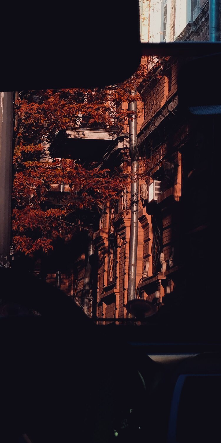 Photo #12768208