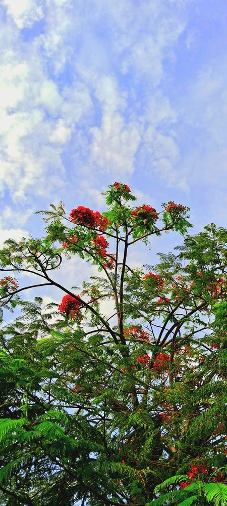 Photograph by Meire Costa