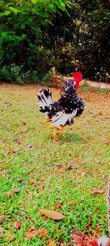 Photograph by Meire Costa