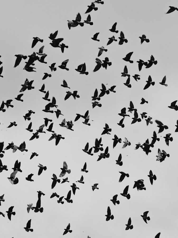 Photograph by ALISA NEZHINSKAYA