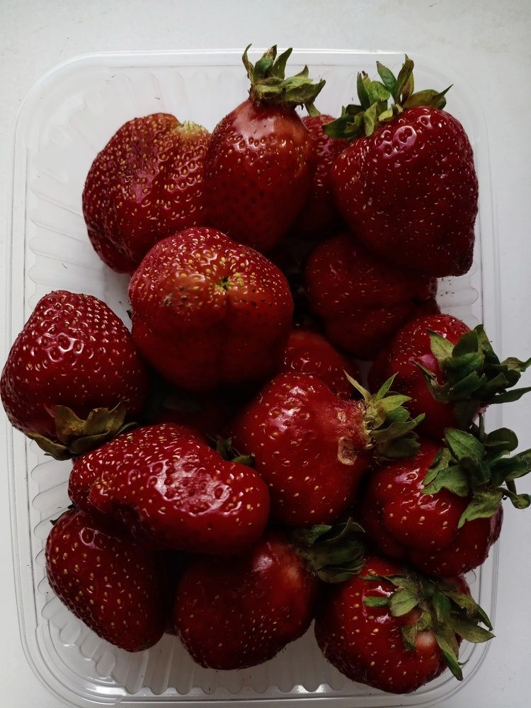 Photograph by Анастасия Псарёва