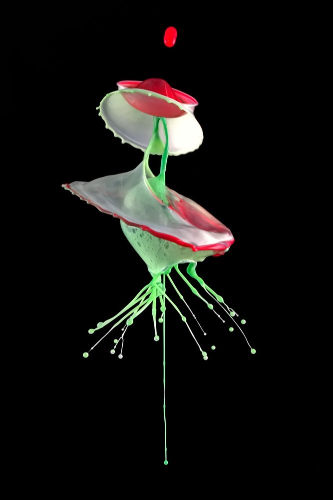 Photograph by Илан Грабоис