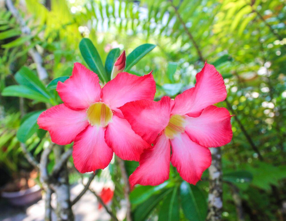 Photograph by Елена Поспелова